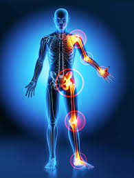 Orthopedic & Joint Replacement
