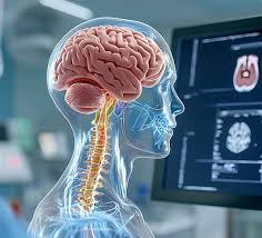 Neurosurgery